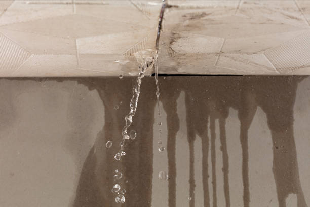 Professional Structural Drying technician working in Salem, WV